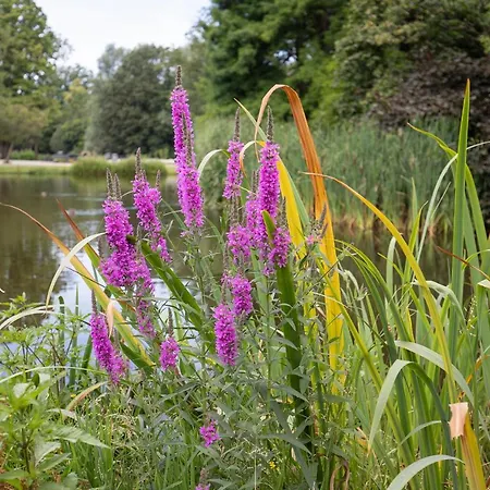 Waldeck Vondelpark 2 Bedroom Bed & Breakfast Amsterdam